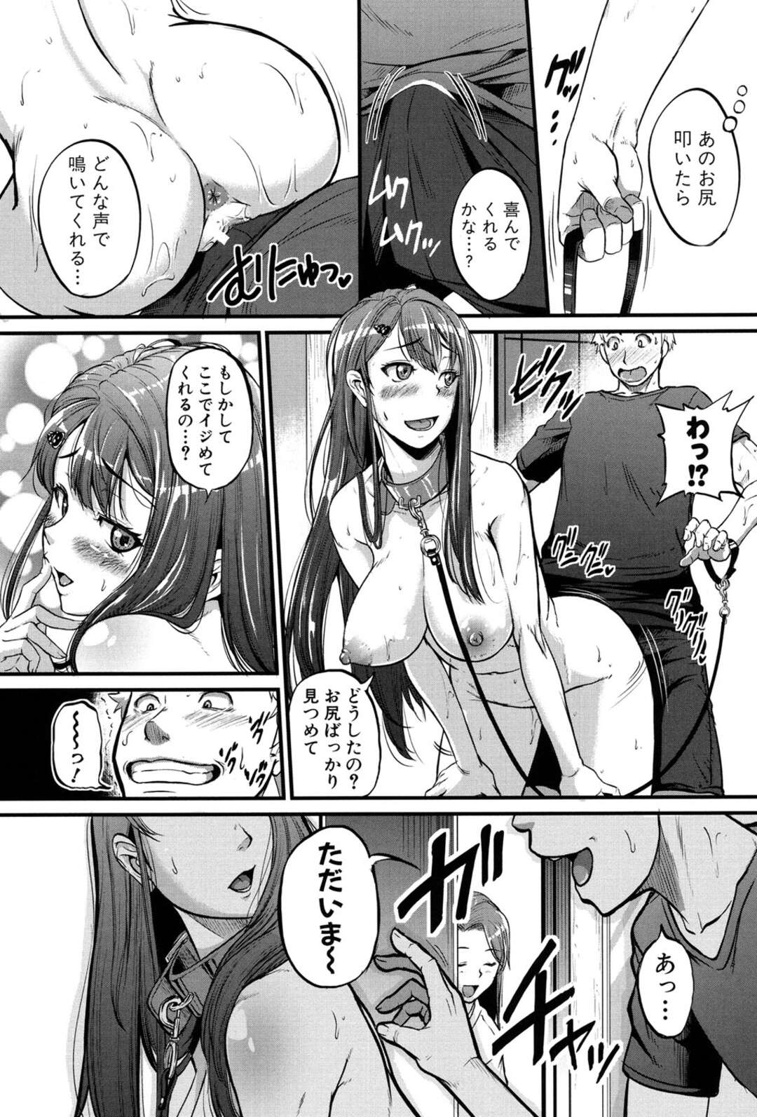 ペットになって弟に甘えるお姉さん。おもむろにズボンを脱がしフェラで精子を搾精して飲んだり、性奴隷になって弟に中出しされて犯されちゃう